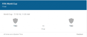 When & Where 2018 Fifa world cup Final to take place ?