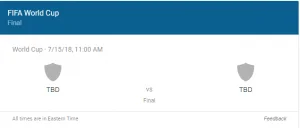 When & Where 2018 Fifa world cup Final to take place ?