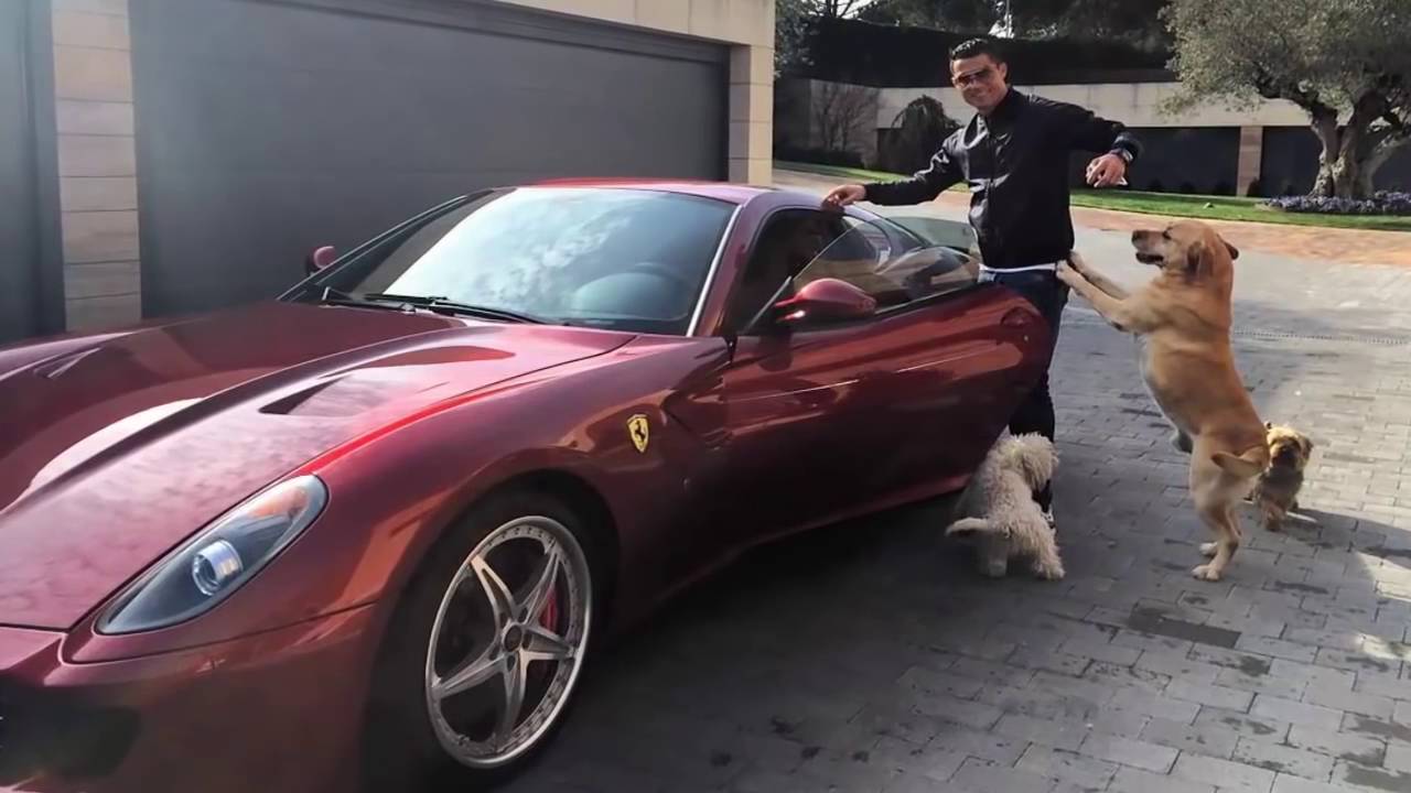 Ronaldo with his card and dog