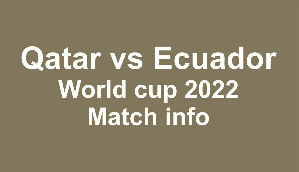 Qatar vs Ecuador World cup Match