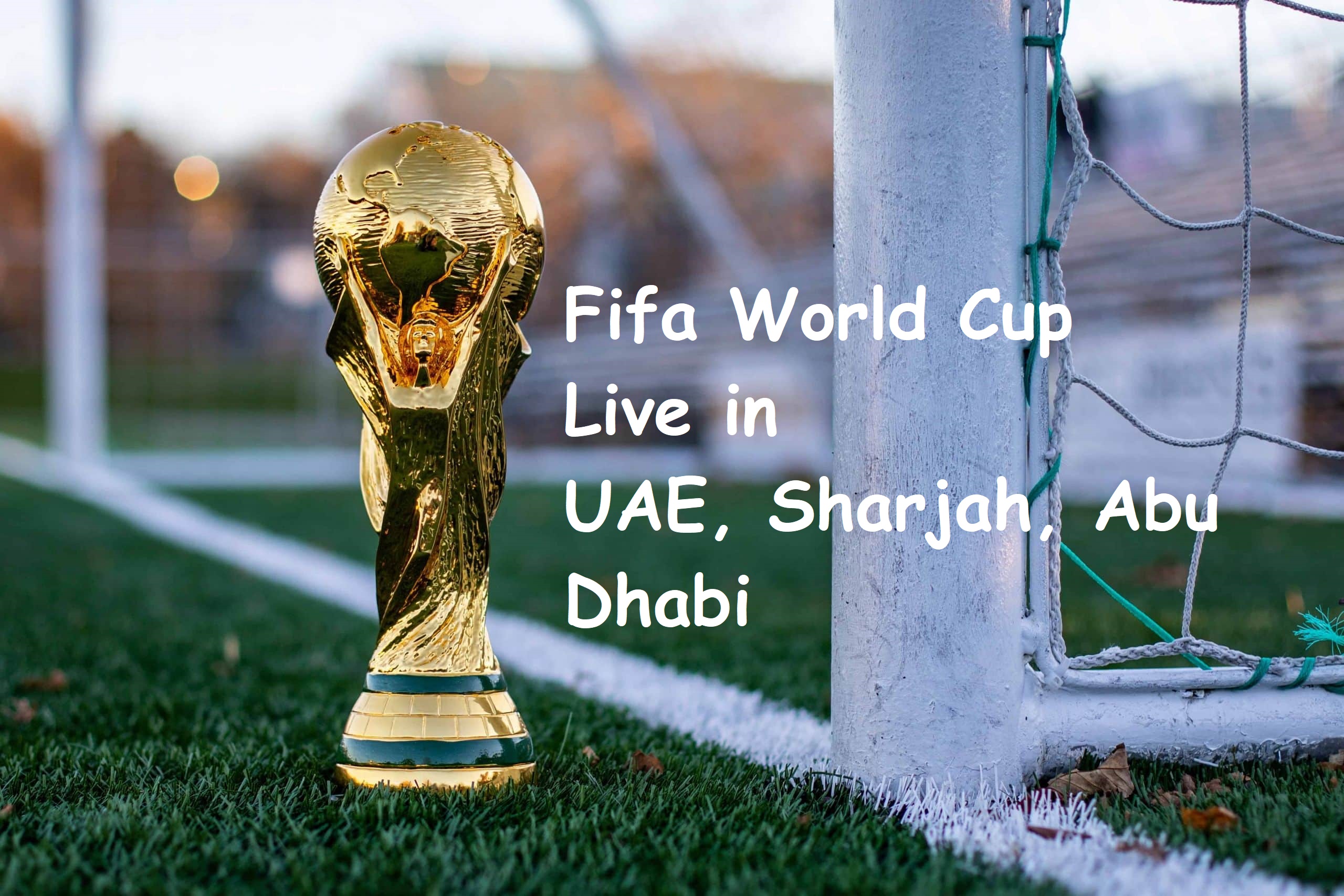 Fifa World cup live in uae dubai sharjah